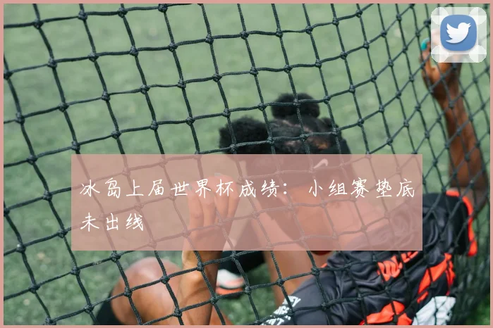 冰岛上届世界杯成绩:小组赛垫底未出线