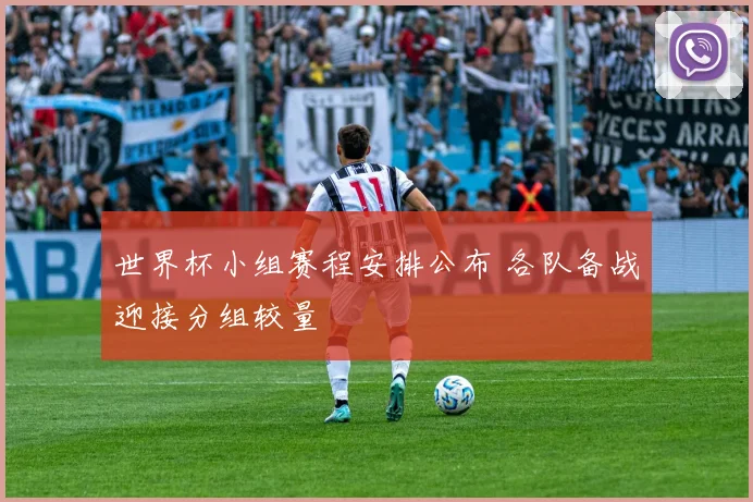 世界杯小组赛程安排公布 各队备战迎接分组较量